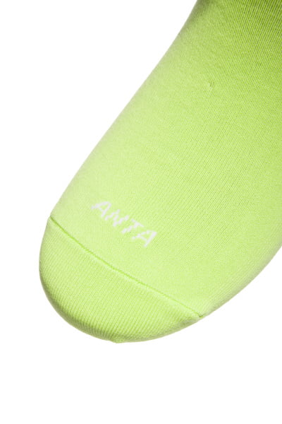   Anta