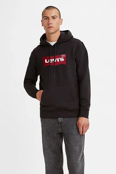 Levi's hot sale graphic hoodie