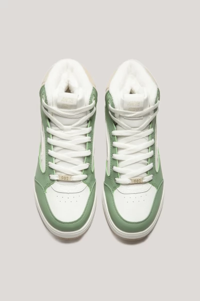 ��������� ������������ ���������� ANTA ANTA982