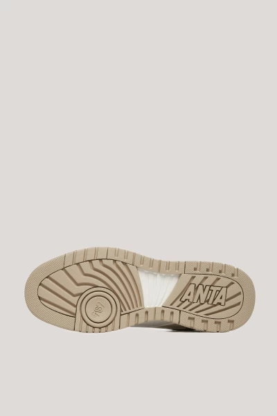 ��������� ������������ ���������� ANTA ANTA982