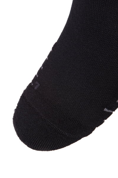   Anta