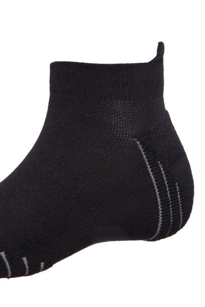   Anta