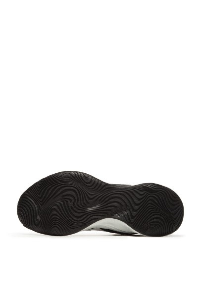   Anta