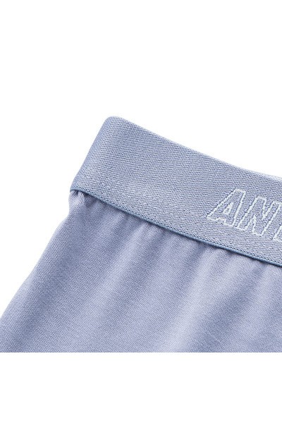  Anta