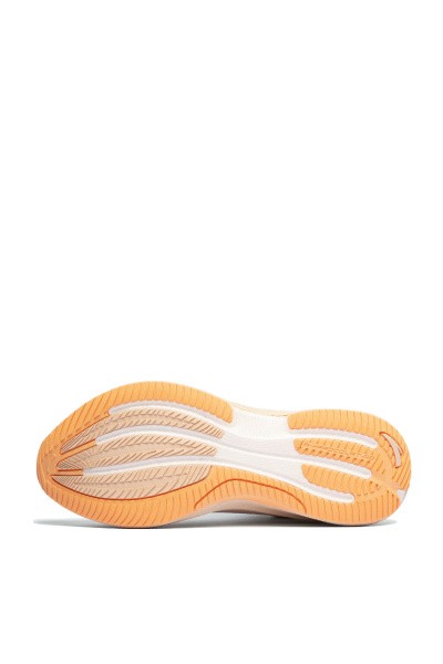    Anta TRON 5.0