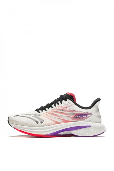    Anta MACH 4.0