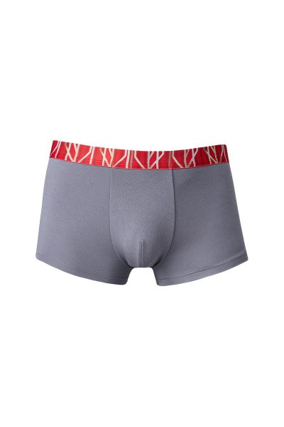  Anta