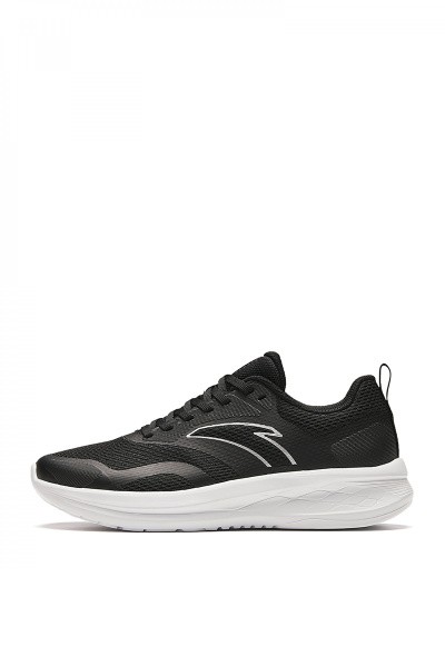    Anta BASIC