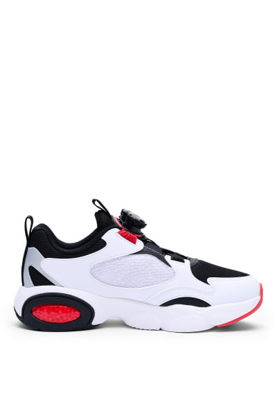  Anta