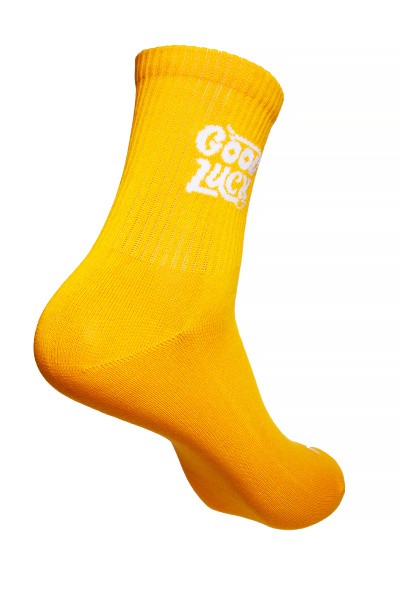 ����� Anta