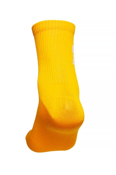 ����� Anta