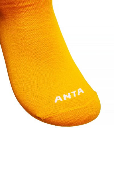 ����� Anta