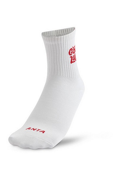  Anta