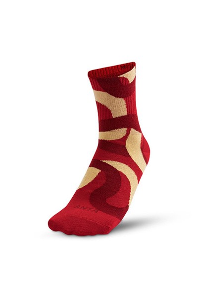  Anta
