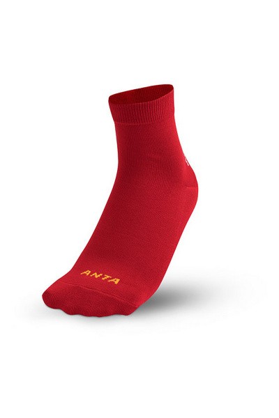  Anta