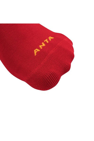  Anta