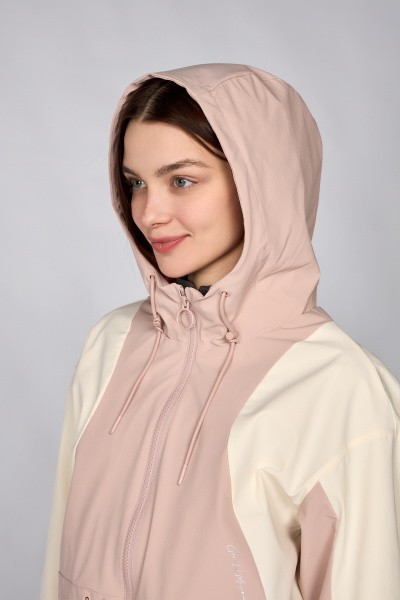  Anta