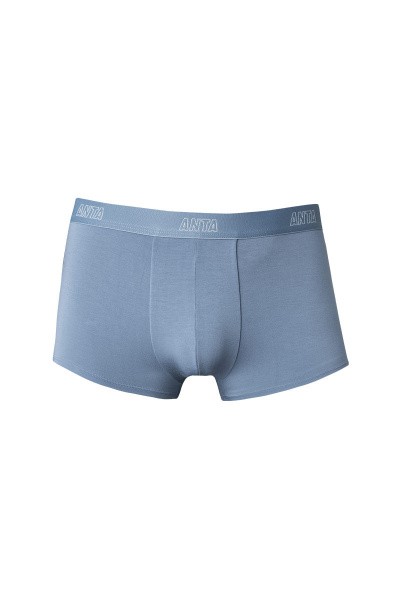  Anta  
