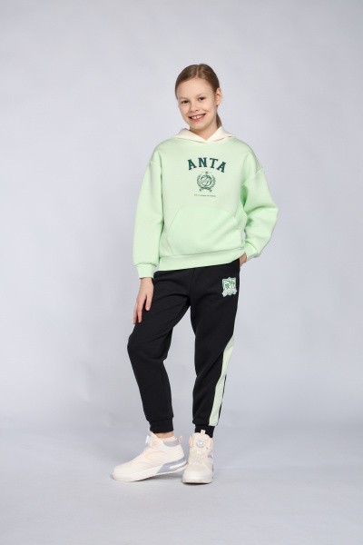   Anta