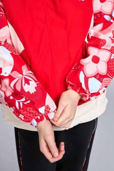 ������������ ������ Anta