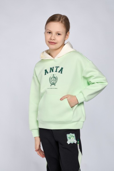  Anta
