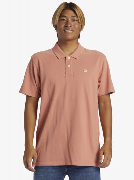 .//,   /  - DNA Polo