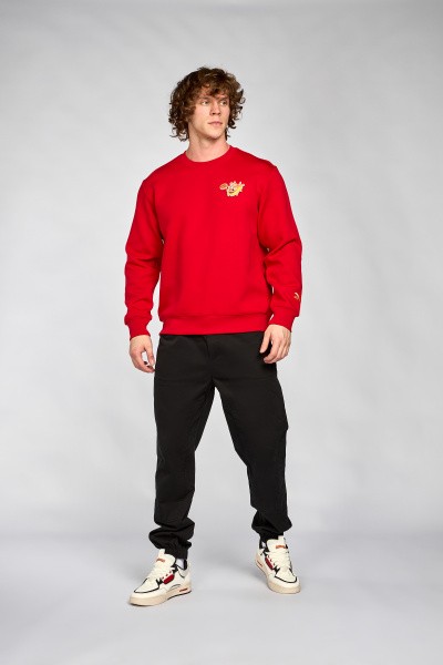  Anta CHINESE NEW YEAR