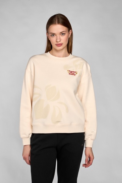 ������� Anta