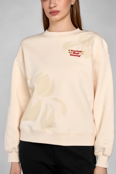 ������� Anta