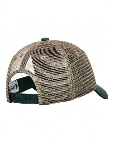    icon mesh