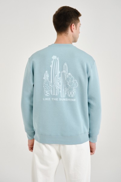  Anta SUNSHINE CACTUS
