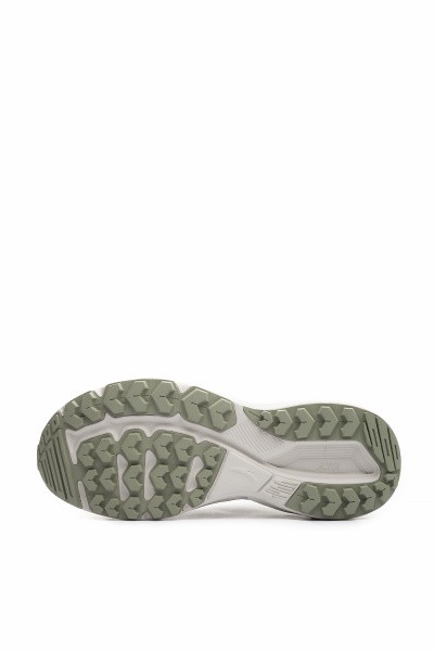   Anta EXPLORER