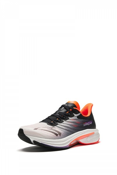    Anta MACH 4.0