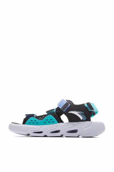  Anta
