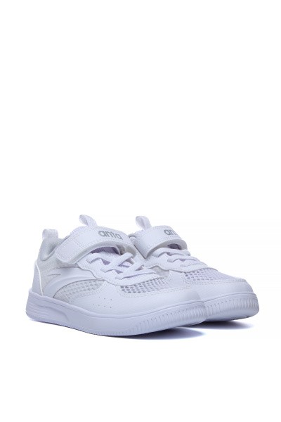  Anta