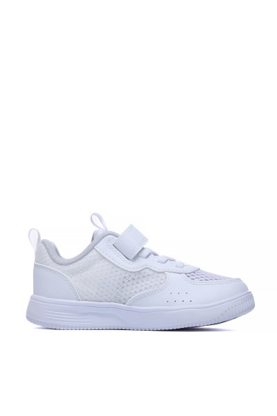  Anta