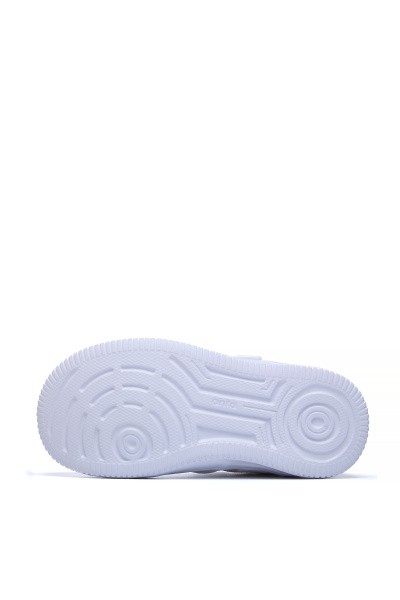  Anta