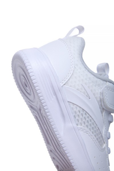  Anta