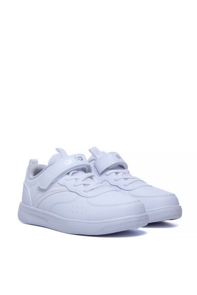  Anta