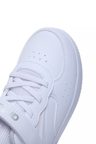  Anta