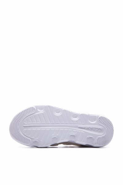   Anta