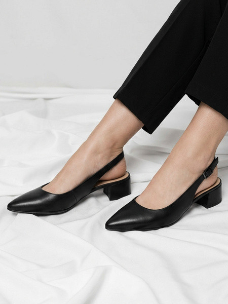 ������� ��������� ����������� ����