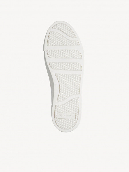 ������� ���� ����������� ����