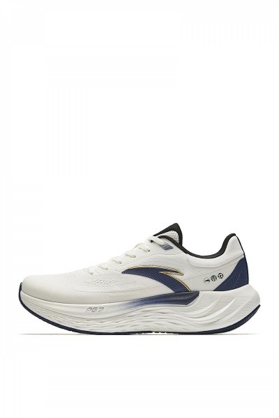    Anta Walk