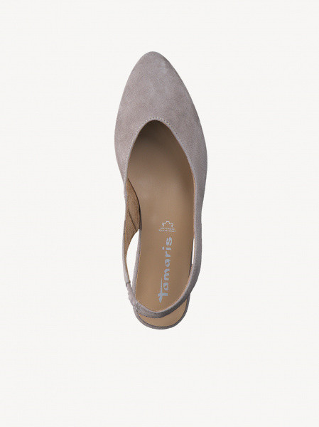 ������� ����� ����������� ����