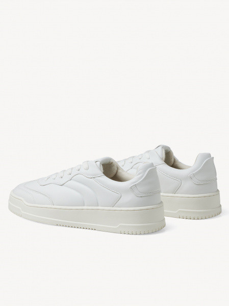 ���� ������� ������� Premium