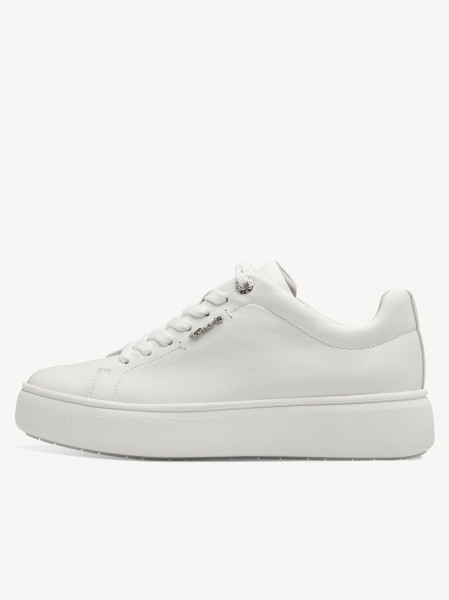 ������� ���� ����������� ����