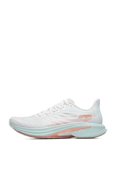    Anta MACH 4.0