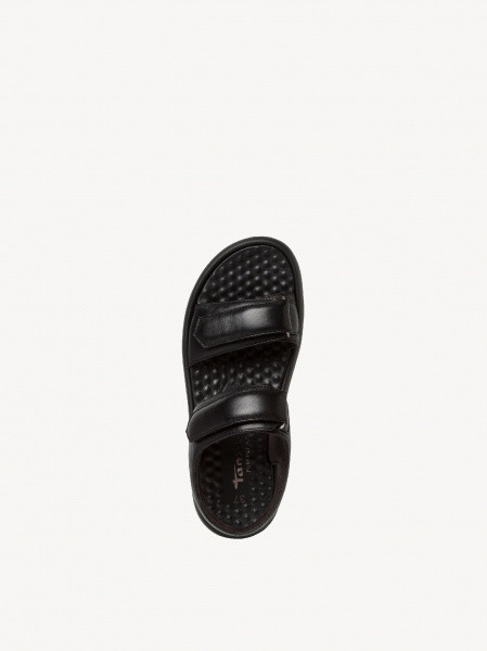 ������� �������� ����������� ����