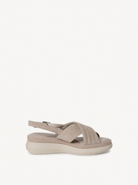 ����� ������ �������� ���.